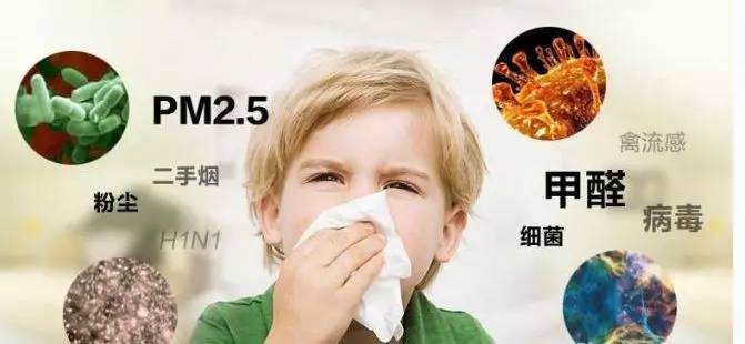 �҃�(n��i)����ȩ���Ҹ��V����ȩΣ��